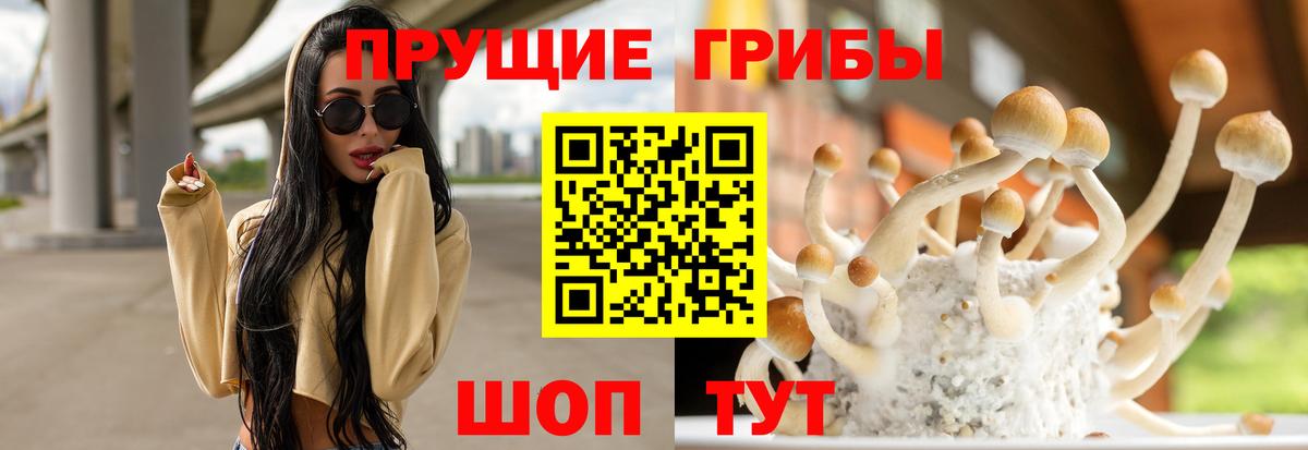 Галлюциногенные грибы Psilocybine cubensis Лянтор